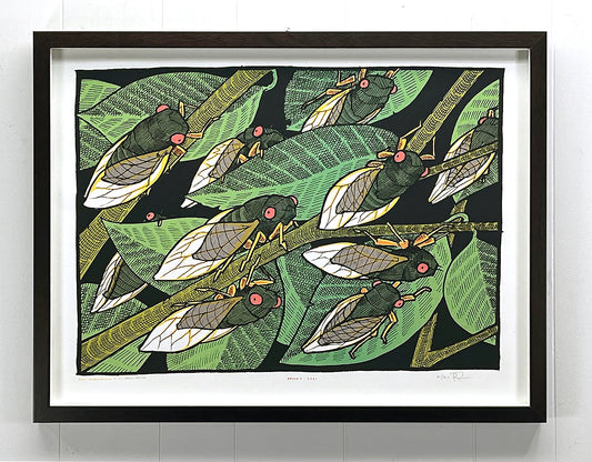 Brood X 2021 -2nd Edition - by Jay Ryan at The Bird Machine