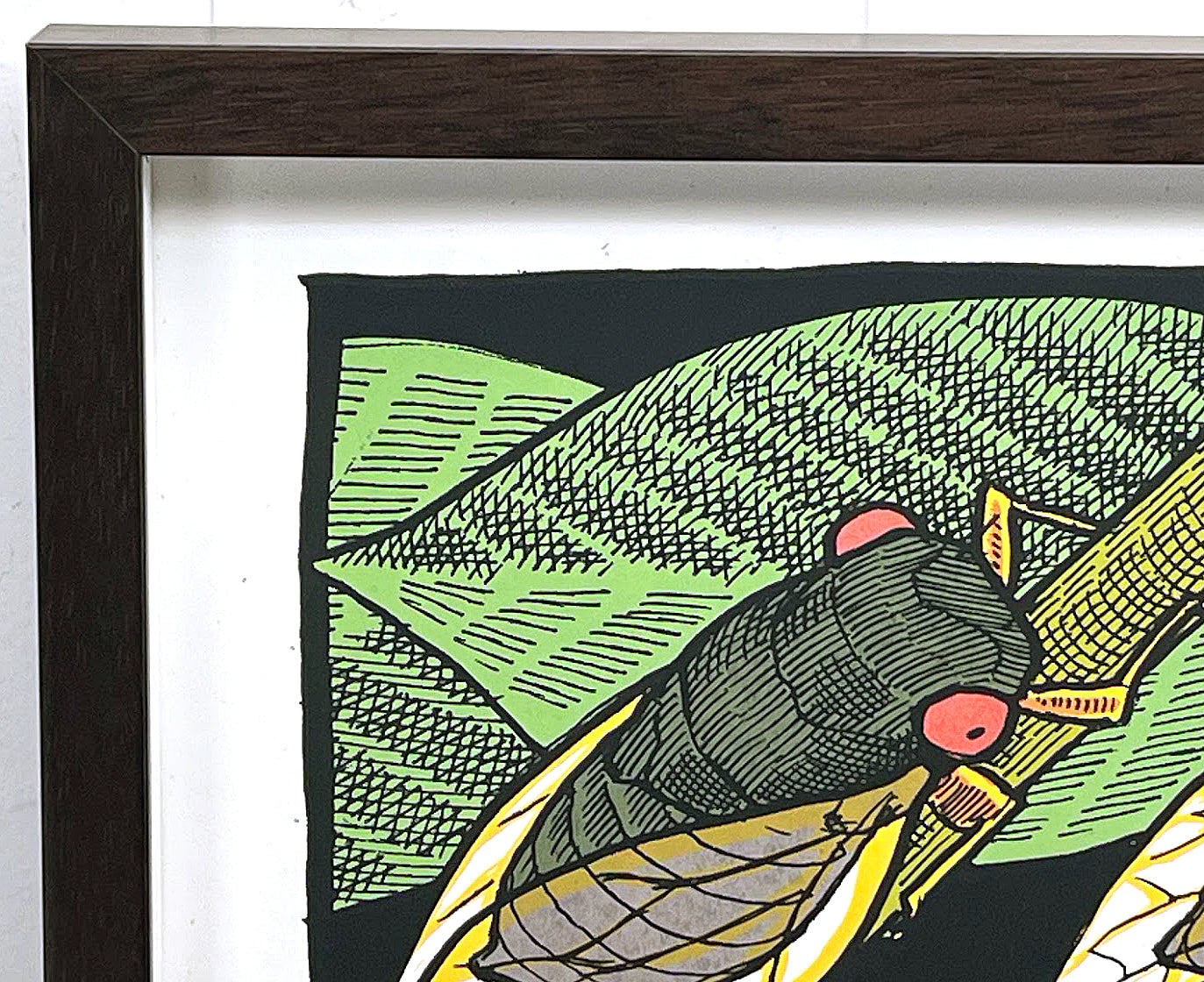 Brood X 2021 -2nd Edition - by Jay Ryan at The Bird Machine