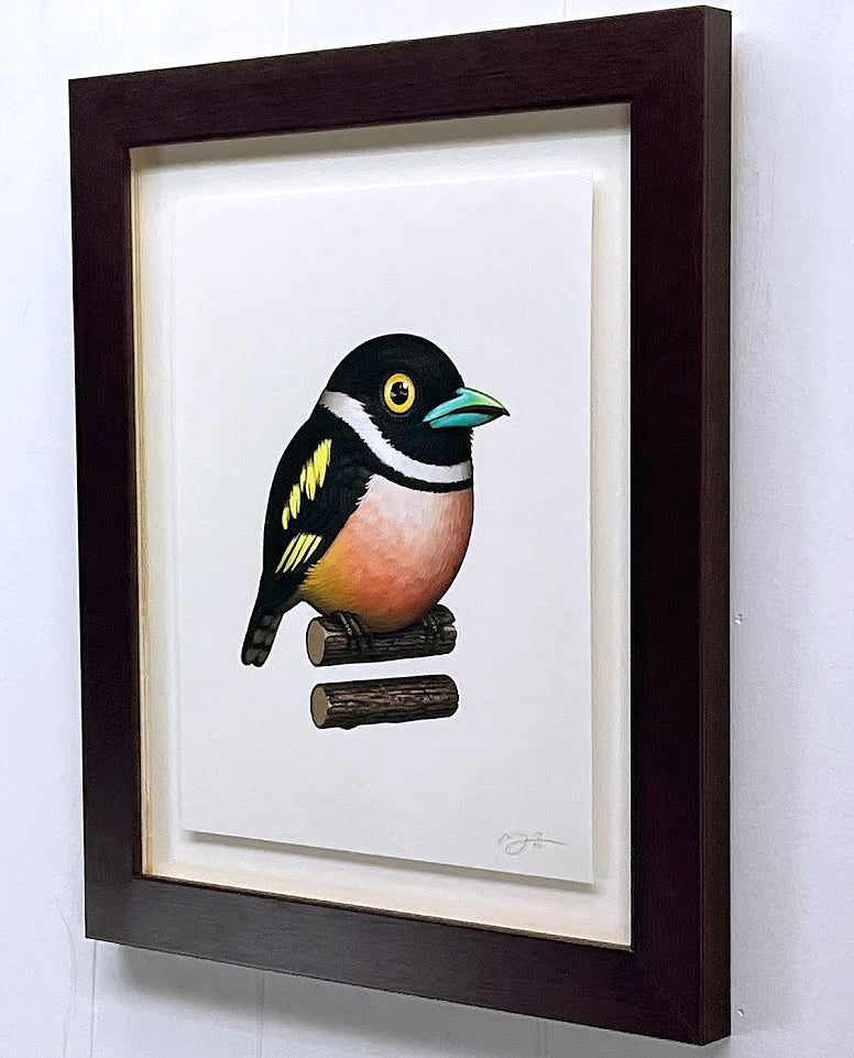 Fat Bird - BLACK-AND-YELLOW BROADBILL by Mike Mitchell 2023