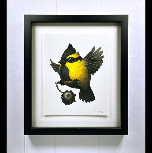 Fat Bird - Himalayan Black-lored Tit (Companion) by Mike Mitchell 2024